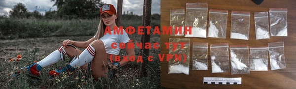 ГАЛЛЮЦИНОГЕННЫЕ ГРИБЫ Алзамай