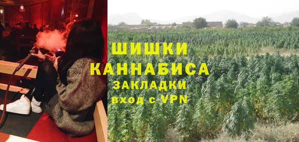 ГАЛЛЮЦИНОГЕННЫЕ ГРИБЫ Алзамай