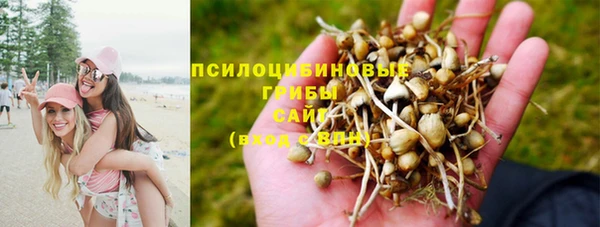 гидропоника Алексин