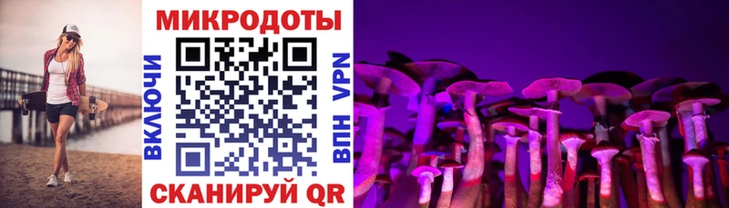 Галлюциногенные грибы прущие грибы дарнет шоп ссылка на мегу ссылки Туймазы